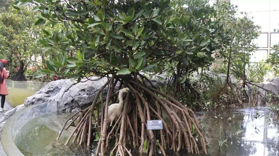 海事巡航已到达台湾浅滩，范围超往年，这片海，我们守得更远了